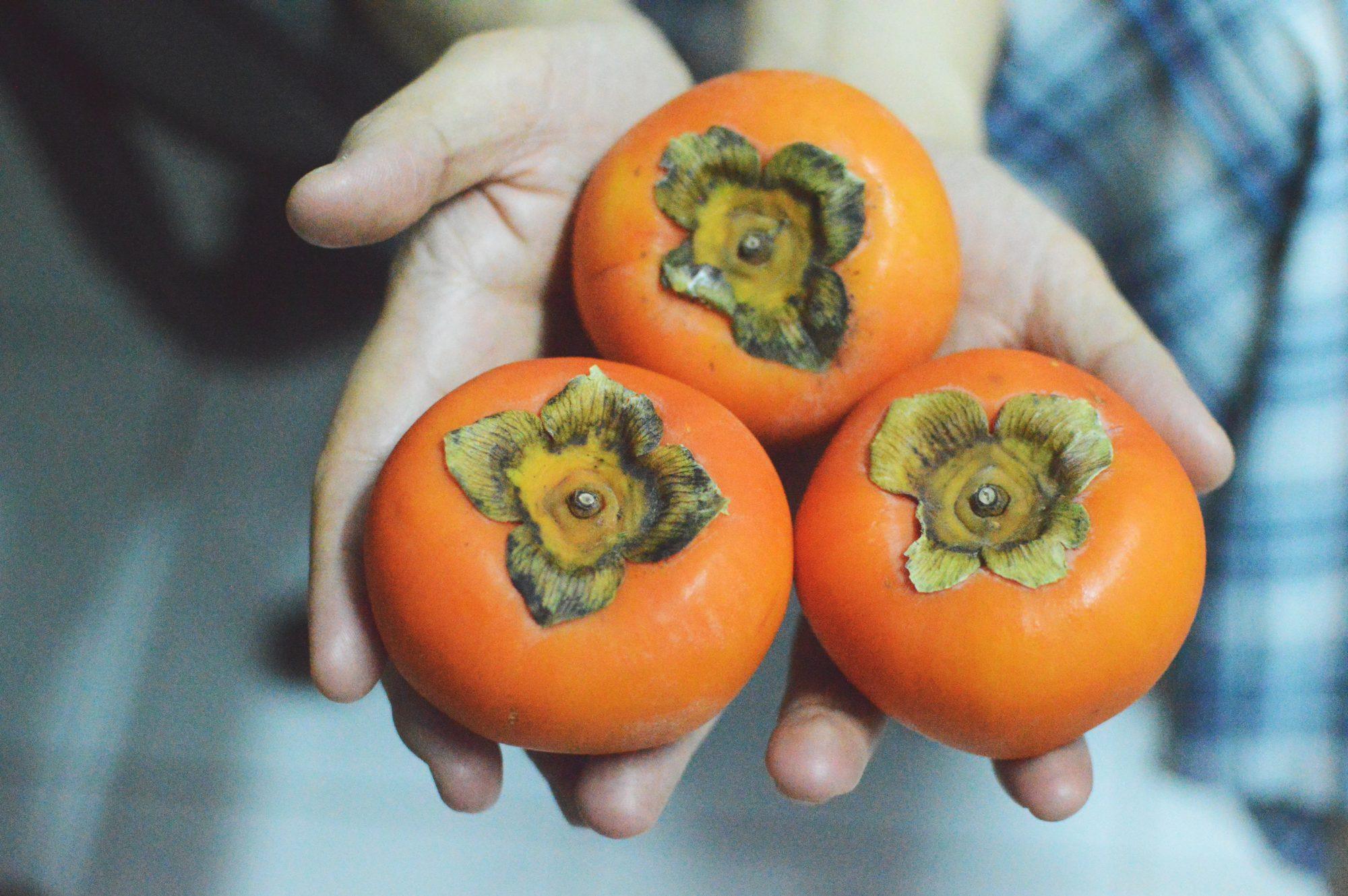 What You May Not Know About The Taste And Benefits Of Persimmon Fruit